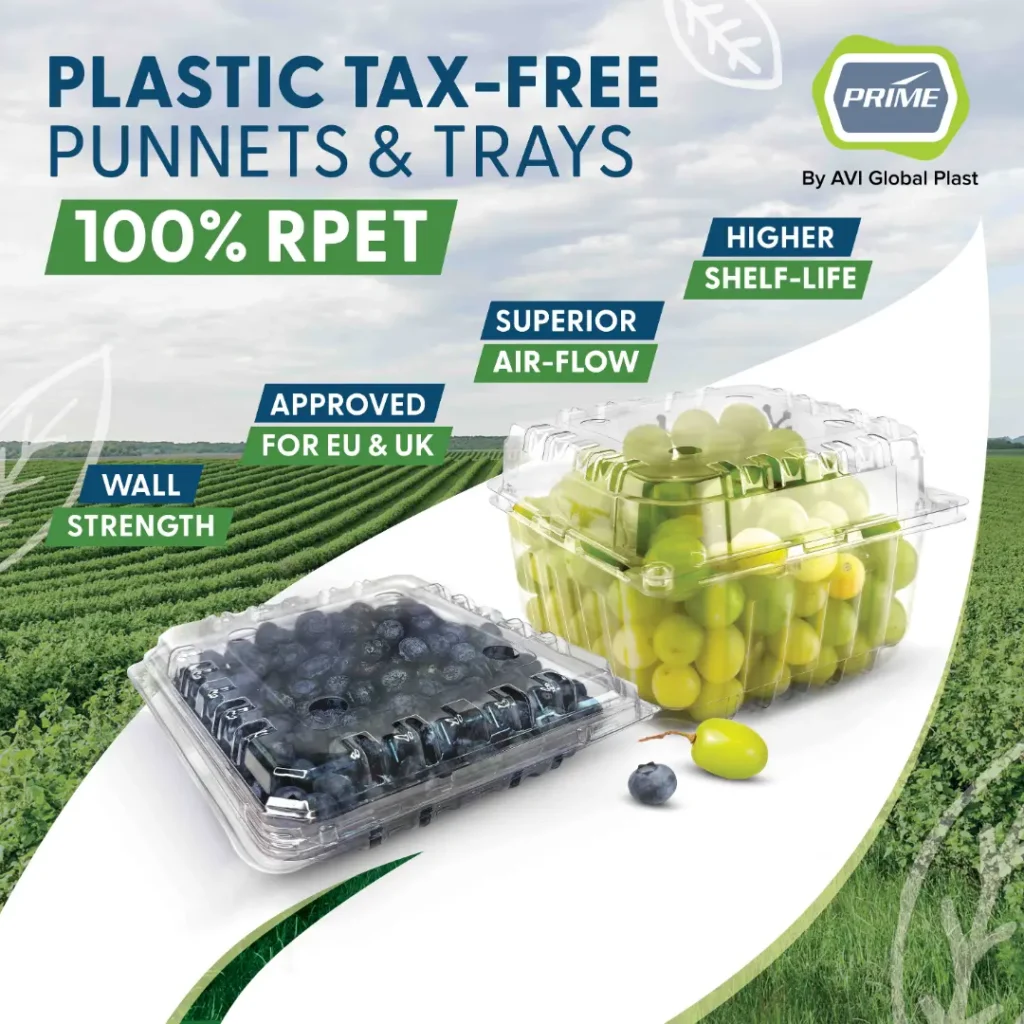 sampad-email-marketing-fruit-attration-2025-spain-2